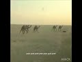 يا راكب اللي زاهين لونه 
