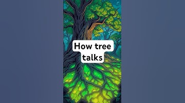The Secret Language of Trees 🌲 | How Forests Communicate Silently #shorts