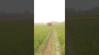 dr Mizanur Rahman ajahary ajahary ajahary #islamicrecitation #love #ytchannel #duet #besttilawat