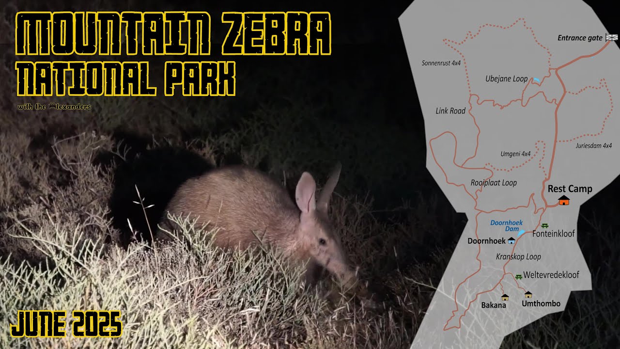 Mountain Zebra National Park - June 2025