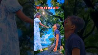 Ho Dil Tod Ke Hasti Ho Mera