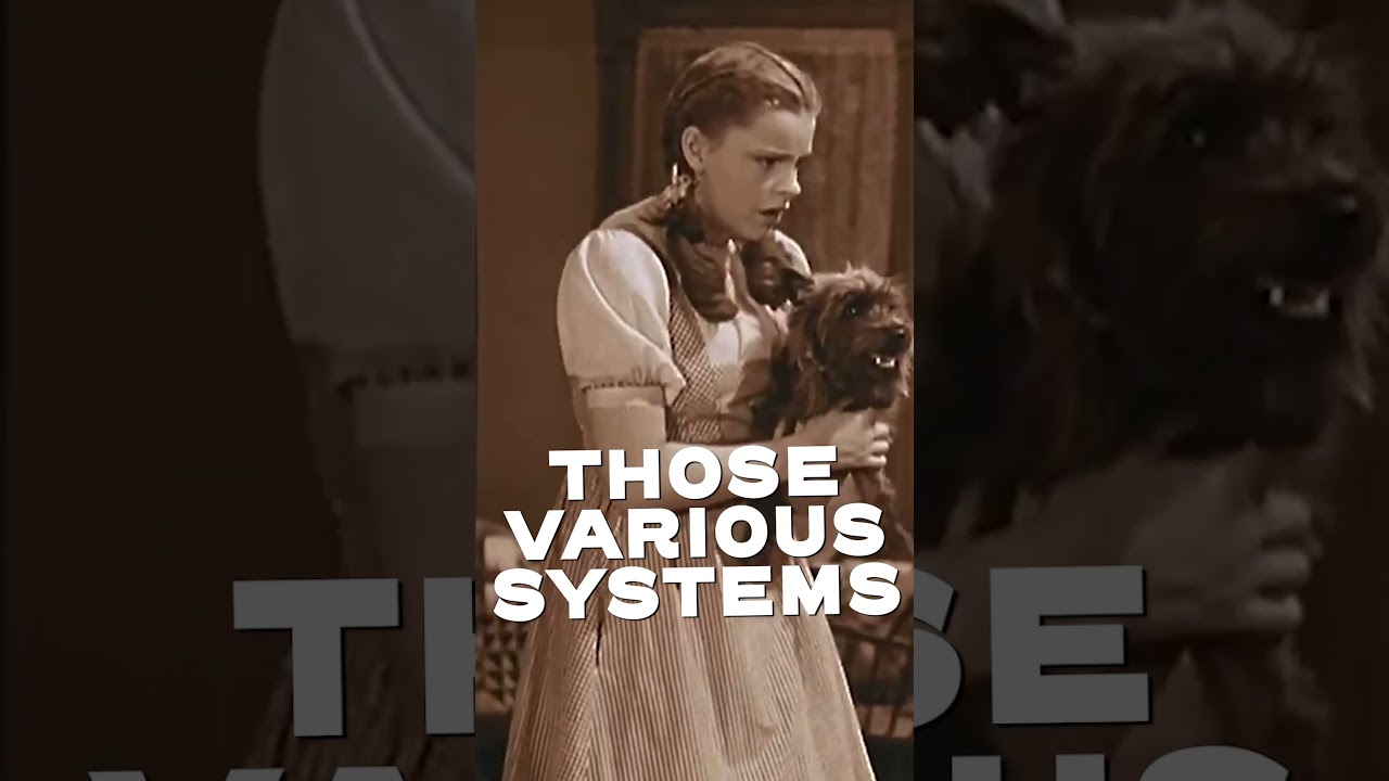 How Toto Became A Star 