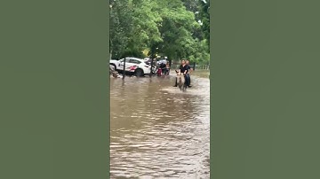 Hiện đại hóa hại điện