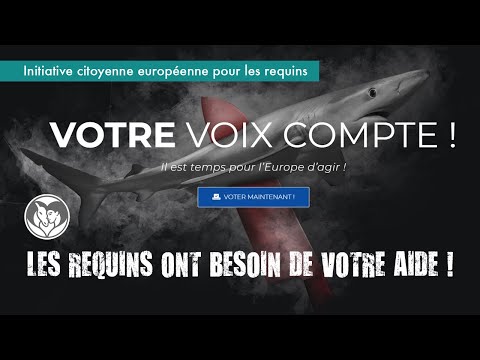Les requins ont besoin de notre soutien !