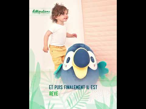 Lilliputiens gif logos 4 5 Plunge FR