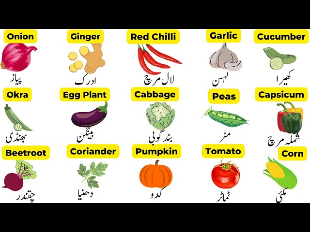 Urdu English Vegetables Nyelv