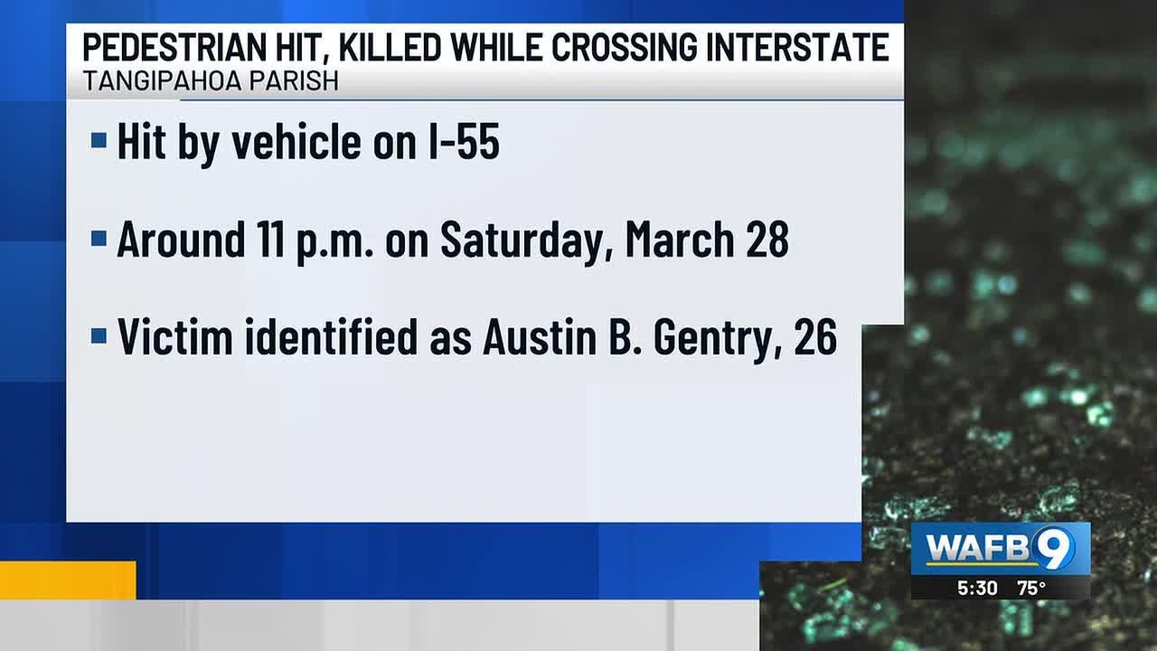 Pedestrian hit, killed while attempting to cross interstate following ...