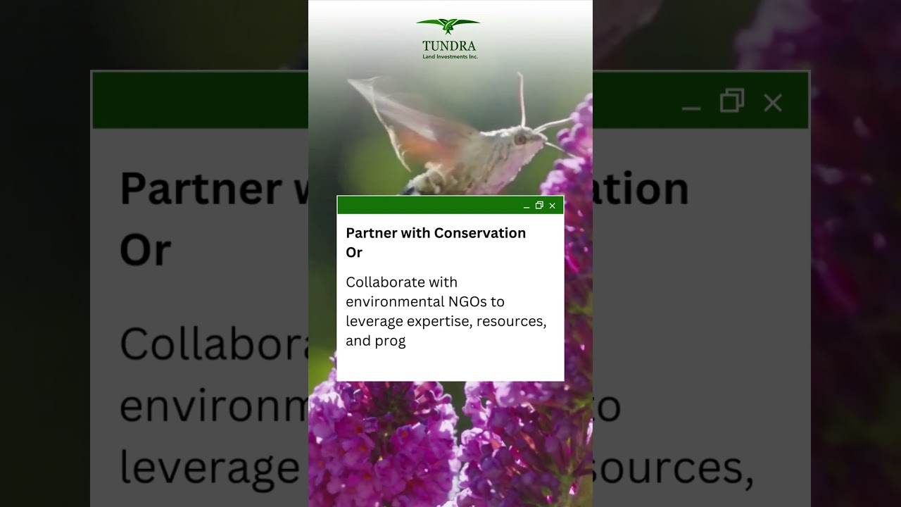 5 Tips for Exploring Land Conservation and Preservation