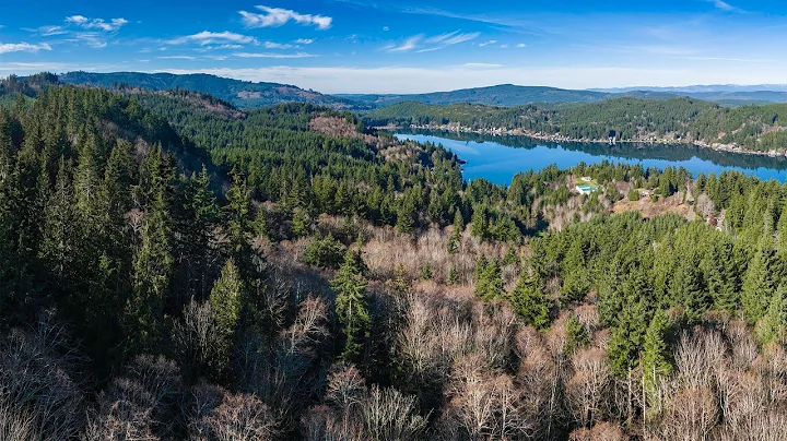 Summit Lake Legacy Forest - Stop the Delica Timber Sale!