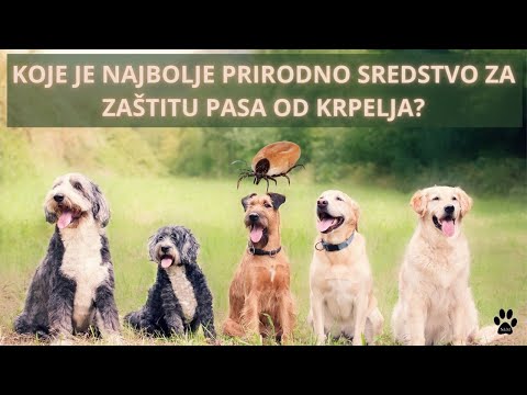 Video: Može li Nip-Tuck poboljšati kvalitetu vašeg ljubimca?