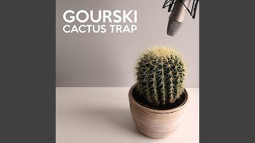 Cactus Trap