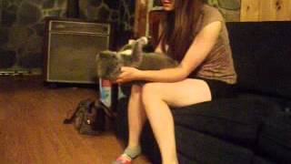 DSCF6541.AVI