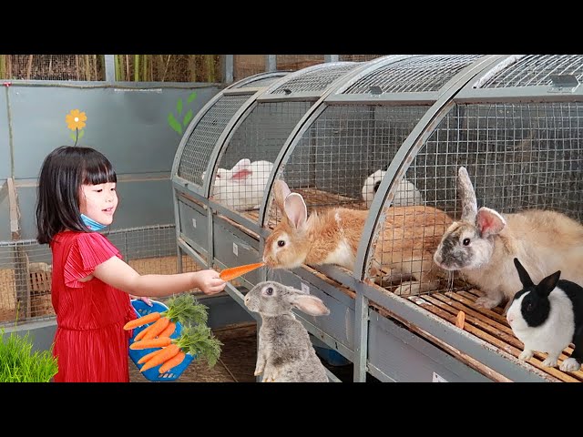 Kasih Makan Kelinci, Marmut dan Bebek | Binatang Lucu Untuk Anak Anak class=