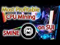 Was a profitable cpu mineable crypto  mineral mine  audit