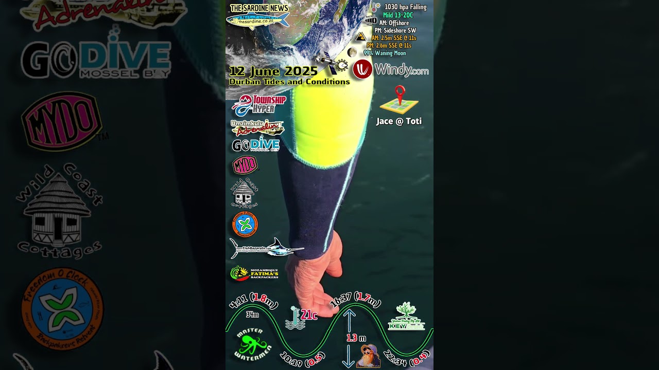 Incredible SARDINE RUN 2025 Video From The Boat by JACE and Crew #sardinerun2025