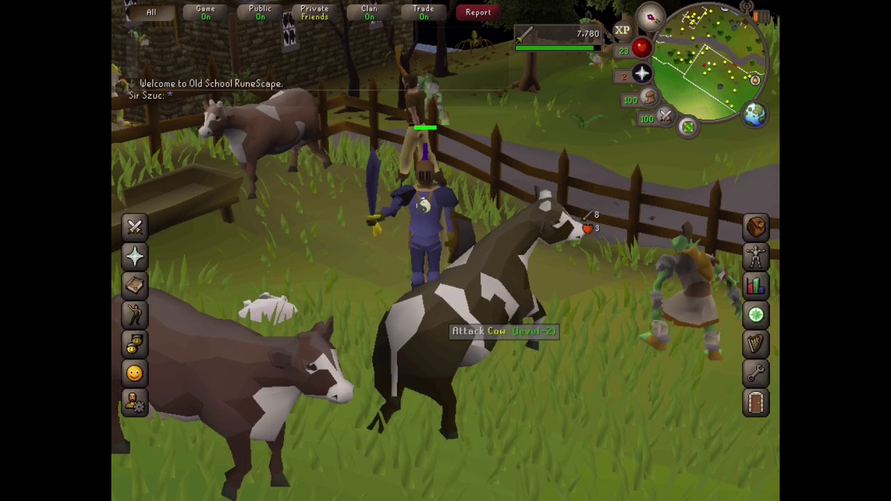 Runescape In A Nutshell [Angelo] - YouTube