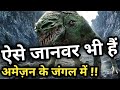 Amazon Wildlife in 4K | Animals of Amazon Jungle in Hindi