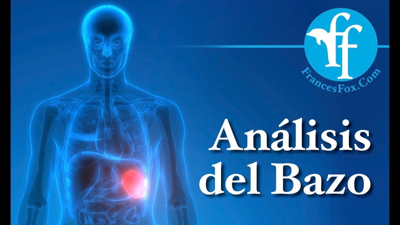 Análisis del Bazo chaman non custom cars