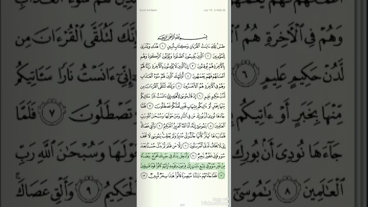 الحزب 38 من القرآن الكريم الشيخ عبد المحسن القاسم