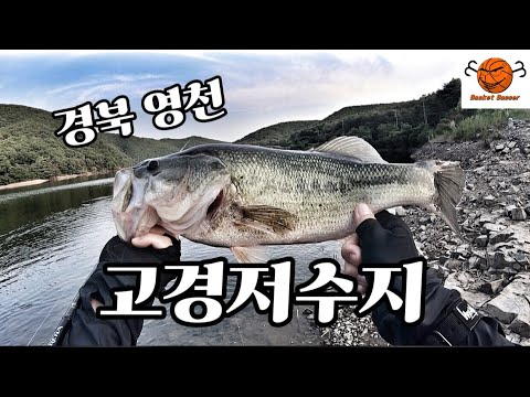 고경지 다녀왔습니다(feat.김성훈) #bassfishing #배스낚시 #fishing #バス釣り #bass #낚시 #angler #영천 #고경지