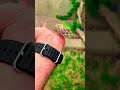 چٹریا کا بچہ گم ہو گیا ہے اب کیا کریں؟ Sparrow Kids #Stories #sparrow #Realstories #Help