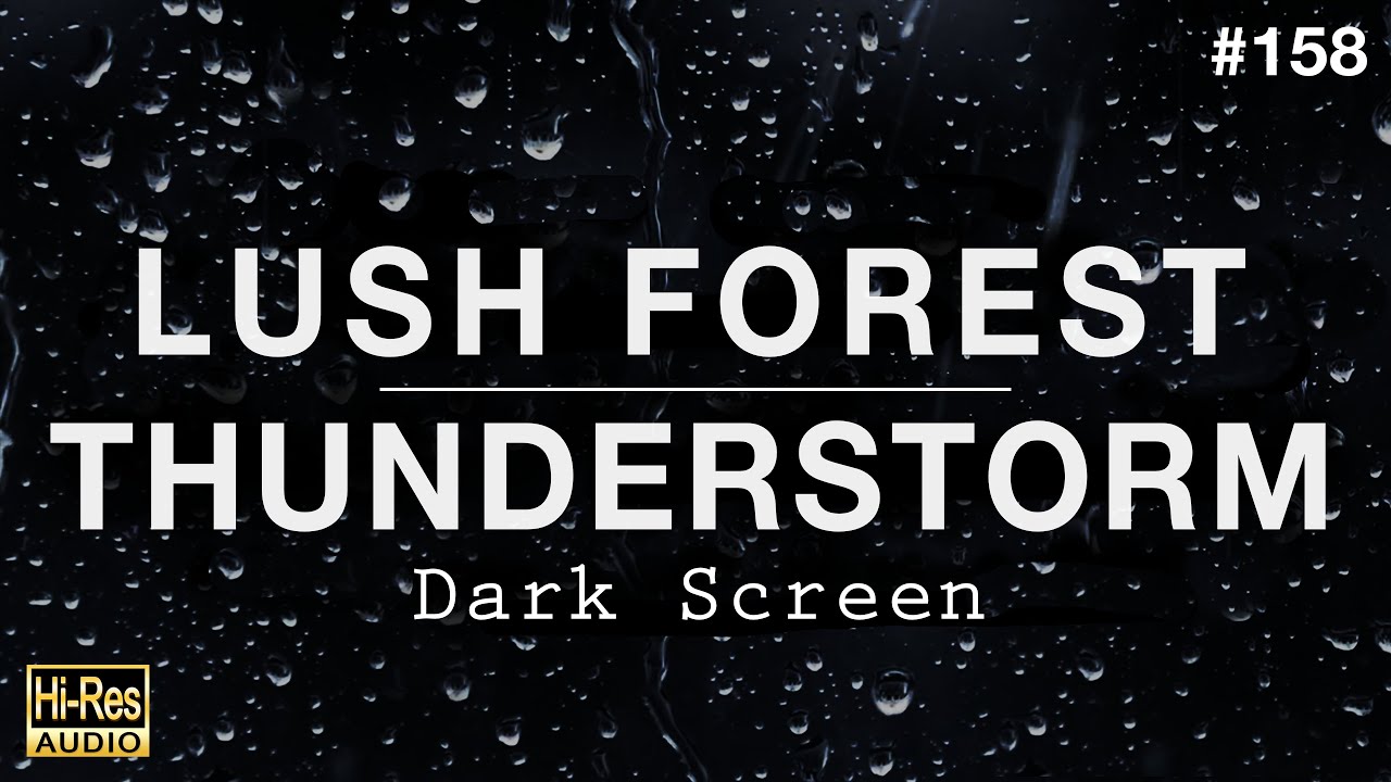 LUSH FOREST THUNDERSTORM and Rain Sounds for Sleeping BLACK SCREEN