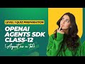 level 1 quiz preparation of openai agents sdk class 12 (agent as a tool)