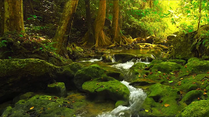 Christopher Phillips - Piano Chill: Songs of James...