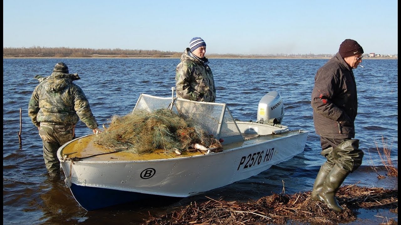 Борьба с браконьерами.Кручу верчу,нае..ть его хочу . - YouTube