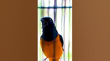 chúc cả nhà ngày cuối tuần vui vẻ sức khỏe hạnh phúc và bình an đông đầy yêu thương bên gia đình