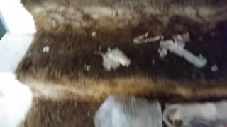 Town House after Section 8 renters moved out.