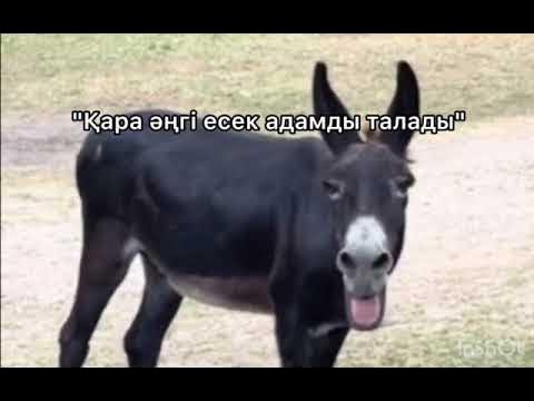 Кончаткадан кейін соруды жалғастырады