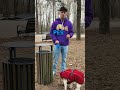 vedel si to? #doglover #shorts