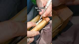 How Do PIT Tags Track Fish?