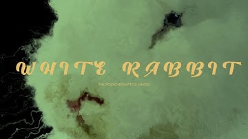The Polychromatics - White Rabbit (Official Music Video)