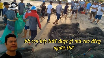 HOÀNG ĐÀ NẴNG /ngư dân phườngTÂN THÁI kéo lưới được cá gì mà sao đông người xem quá vậy