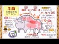 食育３話「牛肉の部位の名称」