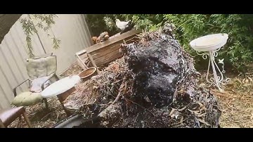 The living Rock: a study in the sublime