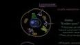Hücre Biyolojisi: Hücre Teorisi ve Hücre Organelleri ile ilgili video