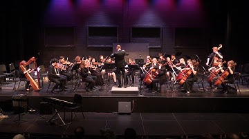 Suite for Strings, IV. Finale - Chamber Orchestra