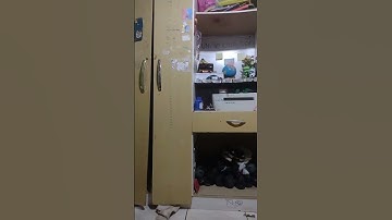 loop #video #shorts #loop