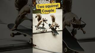 Squirrel Couple stunt #ai #tranding #song