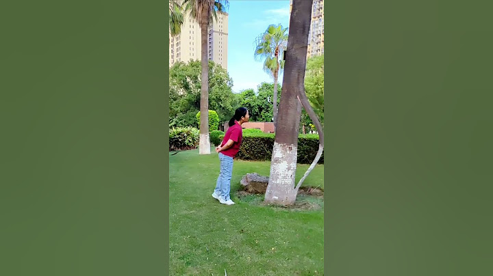 Special Effects Magic Tree #2