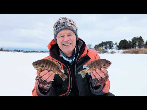 Catching panfish through the ice with the Stingnose