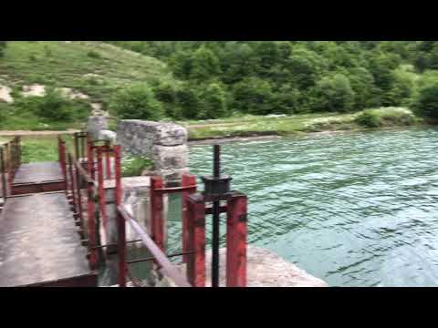 ადიდებული შაორი