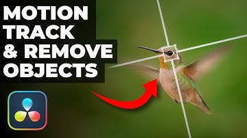 EASILY remove any object in DaVinci Resolve with Tracking