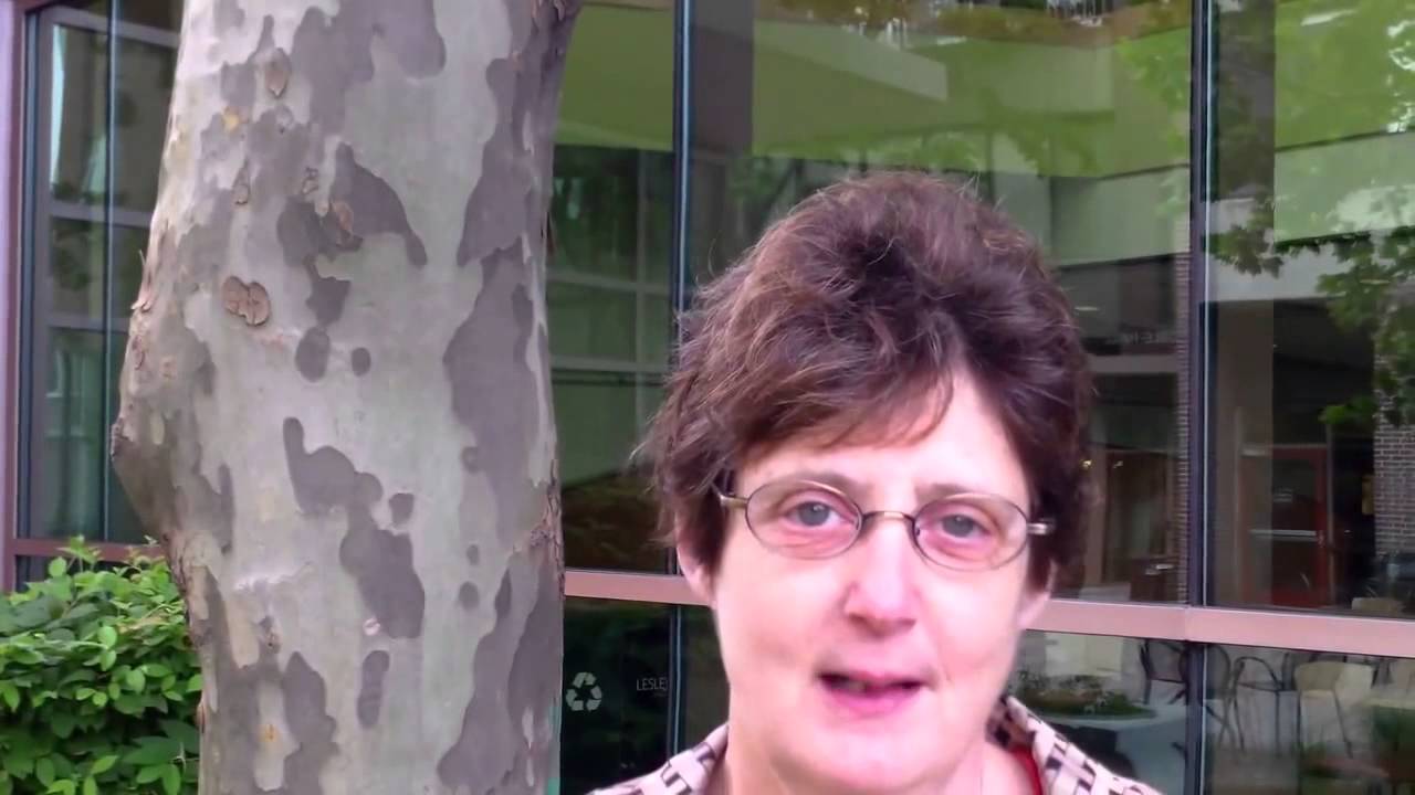 Tina Maschi: 2013 HREA Advocacy Institute participant