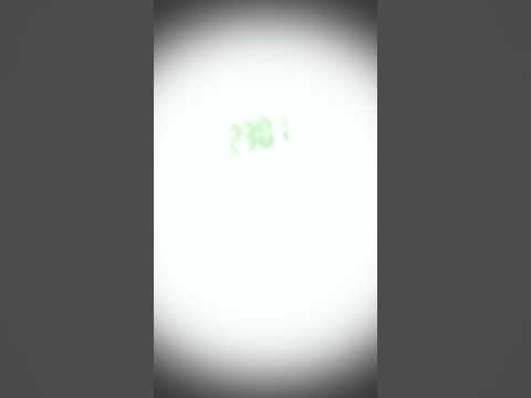 dieses Video wird um 00:00 hochgeladen