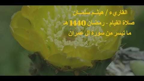 ماتيسر من سورة آل عمران 3 من صلاة القيام 1440 القارىء هيثم سلمان