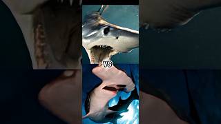 GREAT WHITE SHARK VS TIGER SHARK,BULLSHARK,SAND SHARK,MAKO SHARK,BLACK PIN SHARK, HAMMER HEAD SHARK.